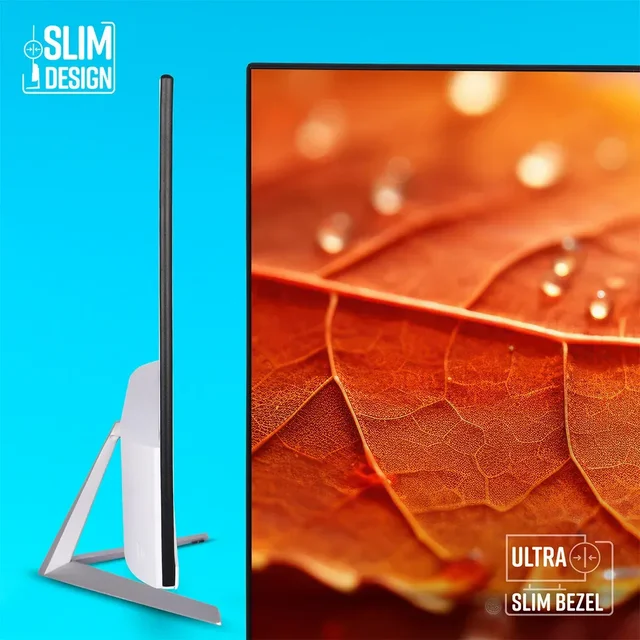 Zebronics EA124 FHD LED Monitor