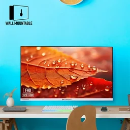 Zebronics EA124 FHD LED Monitor