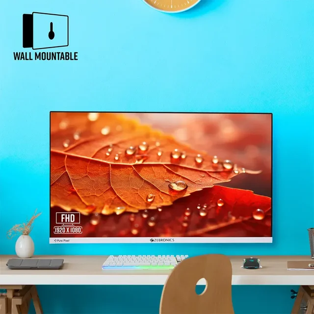 Zebronics EA124 FHD LED Monitor