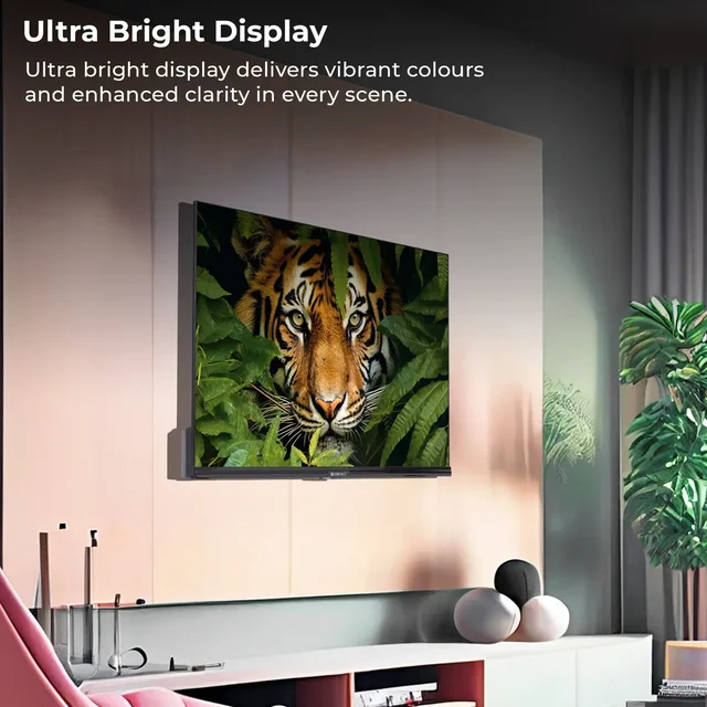 Zebronics 32P1 E LED TV