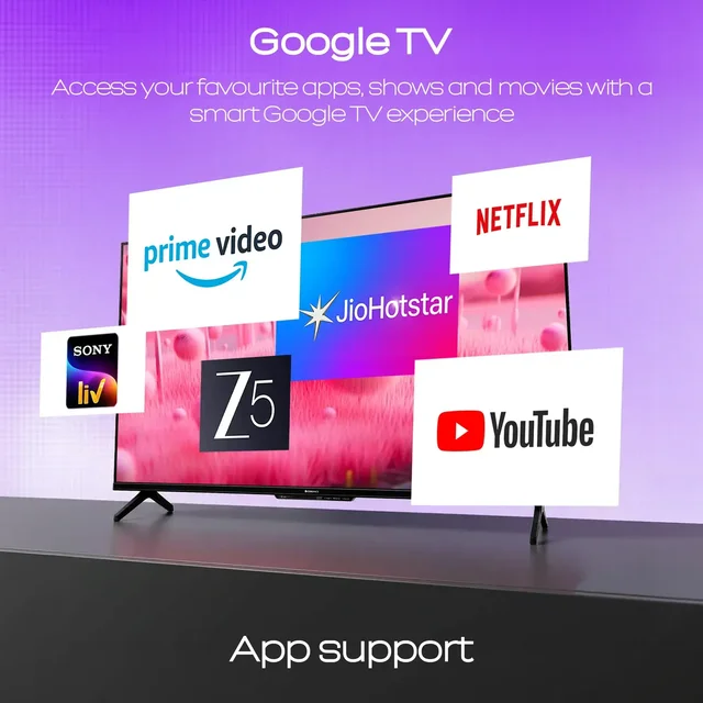 Zebronics 55G1 Plus LED TV