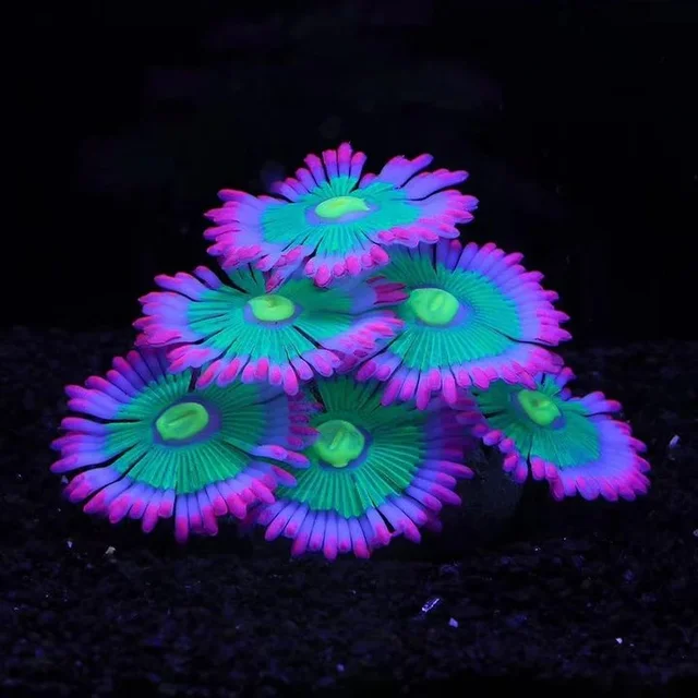 Glow-in-Dark Aquarium Coral Décor