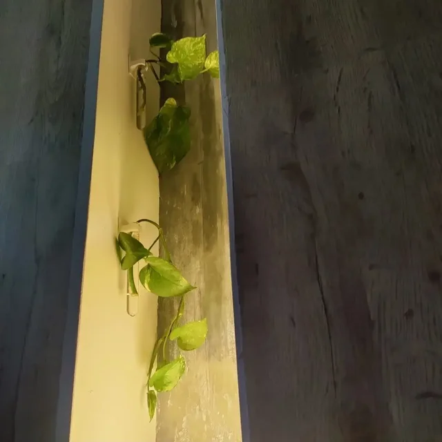 Floating Glass Planter (Set of 3)