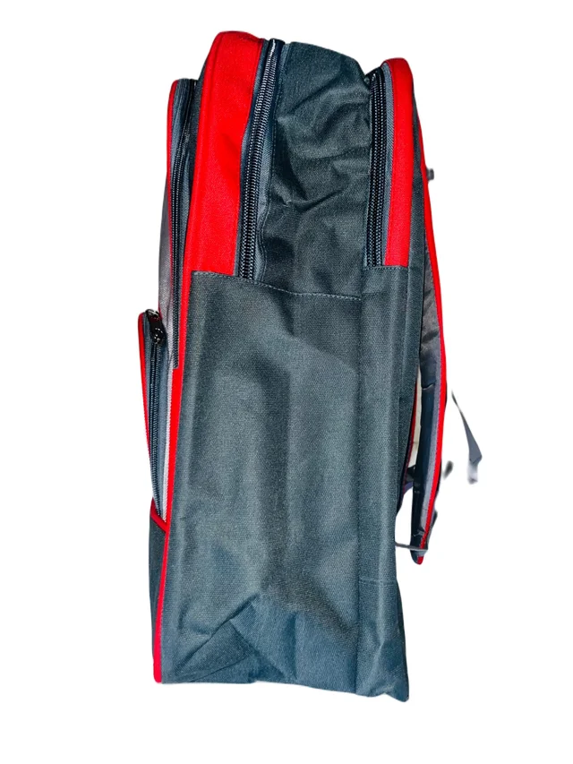 Tyconn PBH P067 22*16*8 25 liters Padded Travel Backpack - Tamarillo, 22*16*8