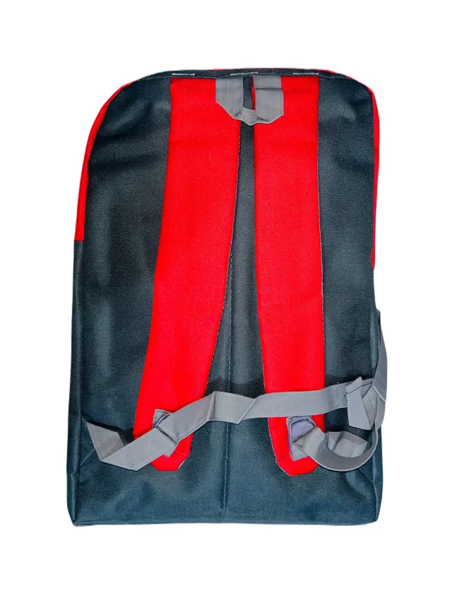 Tyconn PBH P067 22*16*8 25 liters Padded Travel Backpack - Tamarillo, 22*16*8