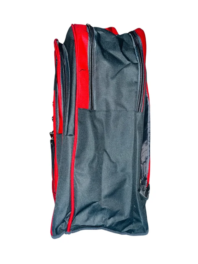 TYCONN PBH P069 22*16*8 25 liters Padded Travel Backpack - 22*16*8, Monza