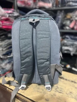 Skybags PBH P0134 18*14*8 Laptop Lower Padded Skybags Move Style Backpack - Silver Rust, 18*14*8