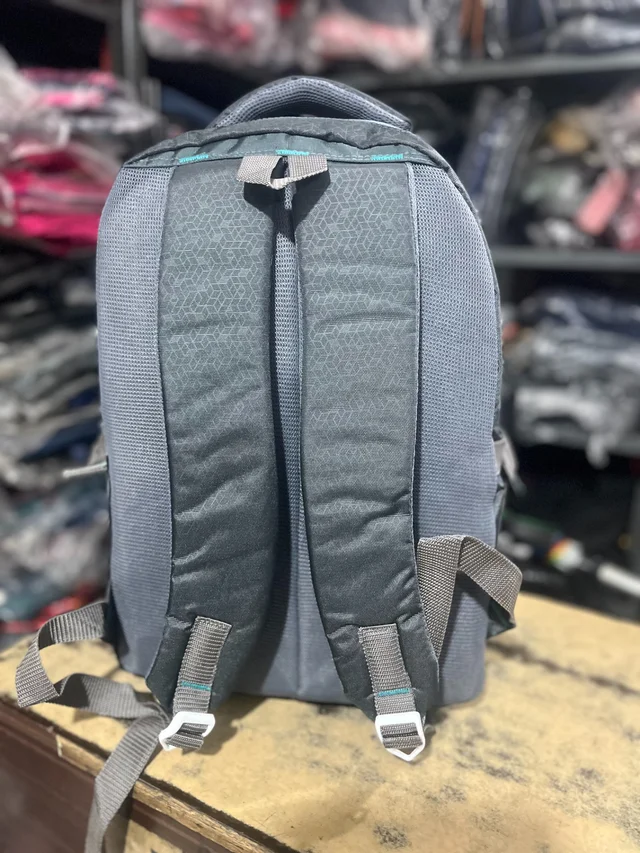 Skybags PBH P0134 18*14*8 Laptop Lower Padded Skybags Move Style Backpack - Silver Rust, 18*14*8