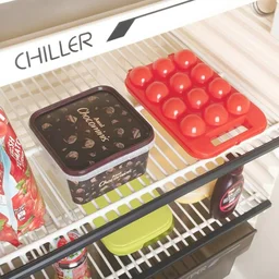2171A Plastic Egg Carry Tray Holder Carrier Storage Box - India, 0.501 kgs
