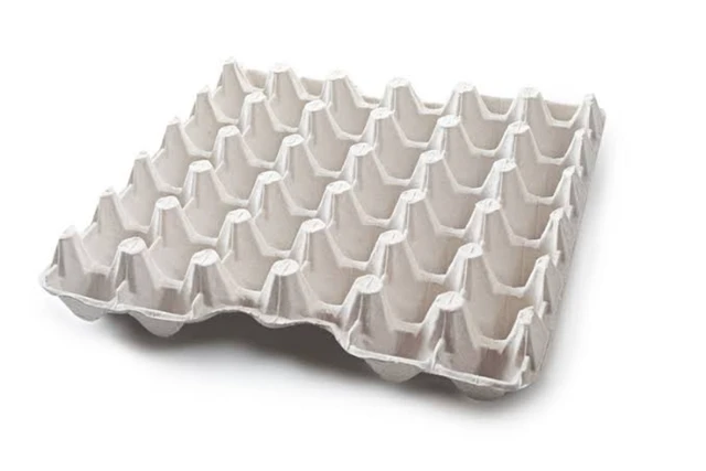 Eggs Paper Tray - 10 pcs