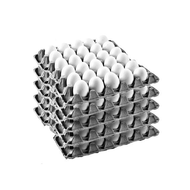 English Healthy White 100_Eggs - 100_Eggs