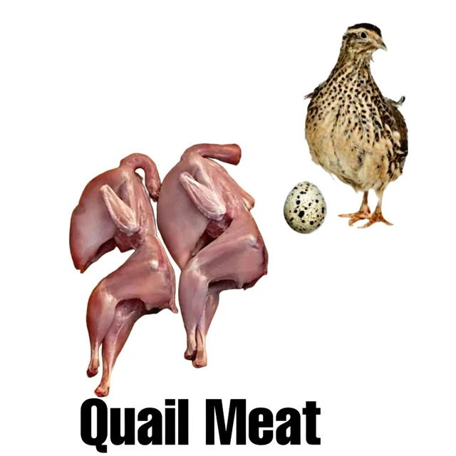 Kuk_du_ku Quail Meat - 1_Pcs
