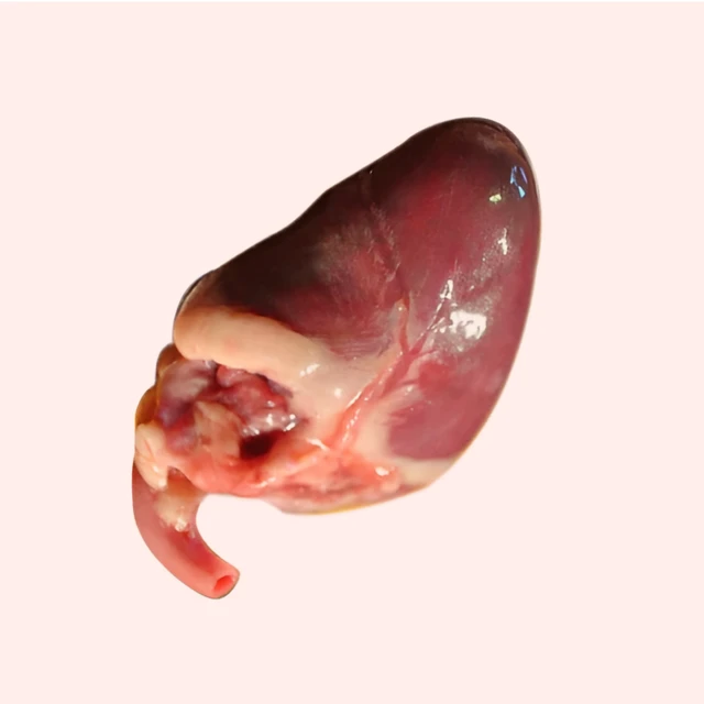 Chicken Heart - 1_kg