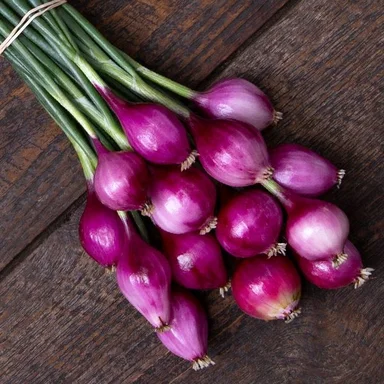 ONION
