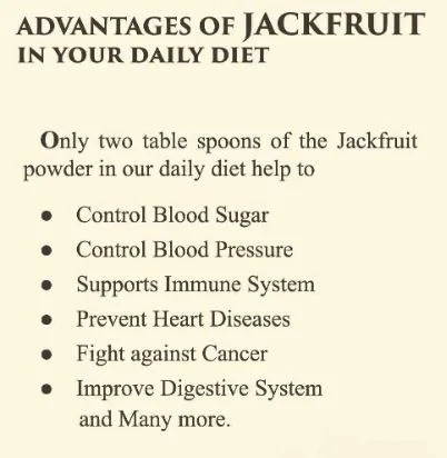 Jack Fruit Chips - 250gm