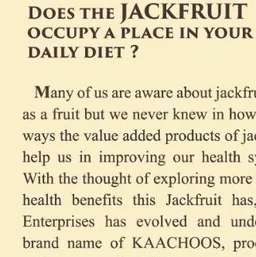 Jack Fruit Chips - 250gm