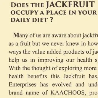 Jack Fruit Chips - 250gm