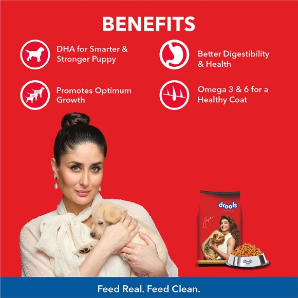 DROOLS PUPPY CHICKEN AND EGG 400G