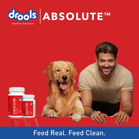 DROOLS ABSOLUTE CALCIUM 50 TABLETS