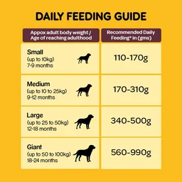 Pedigree Meat & Rice, For Adult Dogs - 1.2 Kg