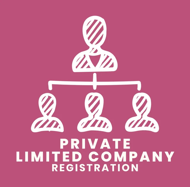 Private Limited Company(Excluding Goverment fees)