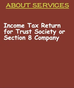 ITR-7 (Income Tax Return for Trust Society or Section 8 Company) - https://forms.gle/PoDYzpTMhsk22AvAA, email to eprecust@gmail.com
