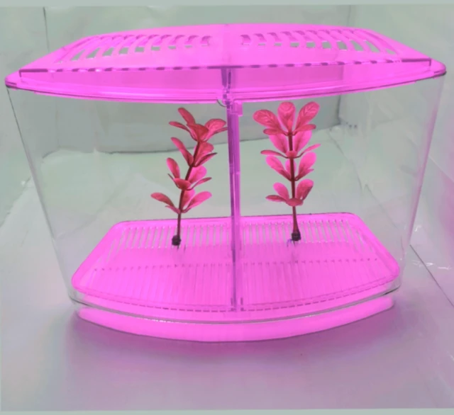 Taiyo Double House Betta/Fighter Fish Tank|Acrylic|With LED Light - Pink Flamingo, 1.5 Litre