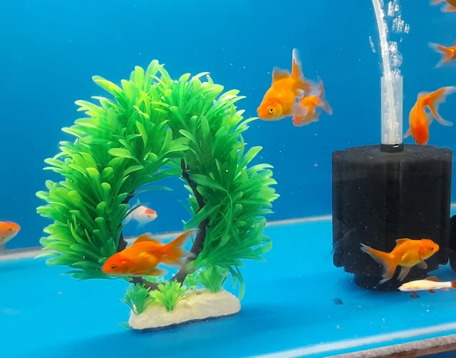 Artificial Plant For Decorate Aquarium| Soft Plastic Material - Green, 6015