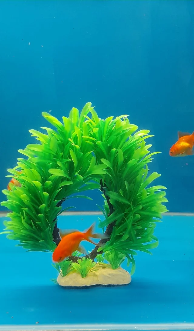 Artificial Plant For Decorate Aquarium| Soft Plastic Material - Green, 6015