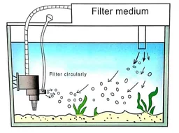 Venus Aqua 601T Top Filter For Aquarium|Free Sponge|Power:25 Watt, F. Max.:1500 L/H - 601T/25 Watt