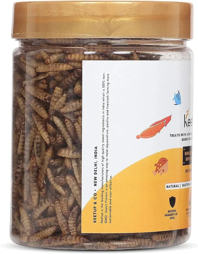 KEETUP Dried Black Soldier Fly Larvae Treat - Fish Food for Arowana, Oscar, Flowerhorn & Other Carnivorous Fishes - Omega 3 & 6, 50x More Calcium Than Mealworms - 100 Gm