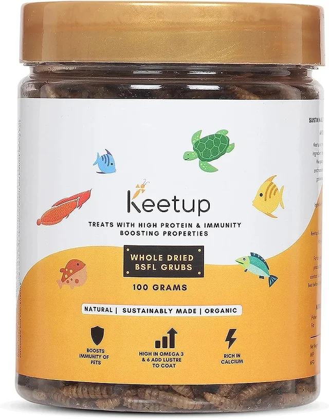KEETUP Dried Black Soldier Fly Larvae Treat - Fish Food for Arowana, Oscar, Flowerhorn & Other Carnivorous Fishes - Omega 3 & 6, 50x More Calcium Than Mealworms - 100 Gm
