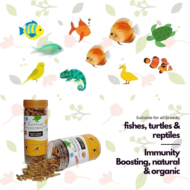 KEETUP Dried Black Soldier Fly Larvae Treat - Fish Food for Arowana, Oscar, Flowerhorn & Other Carnivorous Fishes - Omega 3 & 6, 50x More Calcium Than Mealworms - 100 Gm