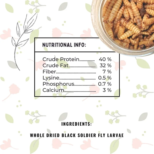 KEETUP Dried Black Soldier Fly Larvae Treat - Fish Food for Arowana, Oscar, Flowerhorn & Other Carnivorous Fishes - Omega 3 & 6, 50x More Calcium Than Mealworms - 100 Gm