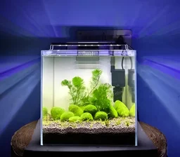 Planted Aquarium Light|LA Series - LA-40/1.5 ft