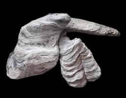 Natural Dead Coral For Decor Aquarium, Terrarium, Home & Garden etc.| Per Kg. - 1 Kg