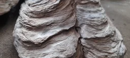 Natural Dead Coral For Decor Aquarium, Terrarium, Home & Garden etc.| Per Kg. - 1 Kg