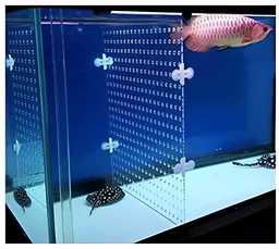 Aquarium Divider|Partitioner - 8 Nos