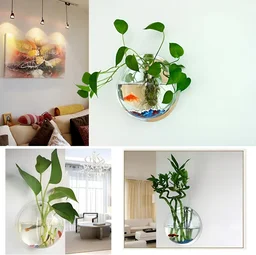 Wall Hanging Bowl Aquarium| Acrylic Aquarium| Suitable For Indoor or Outdoor - 9 Inch