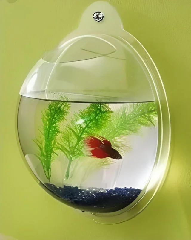 Wall Hanging Bowl Aquarium| Acrylic Aquarium| Suitable For Indoor or Outdoor - 9 Inch
