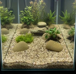 Small Size Mixed Aquarium River Pebbles for Aquascaping & Fish Tank Decoration - 5 Kg