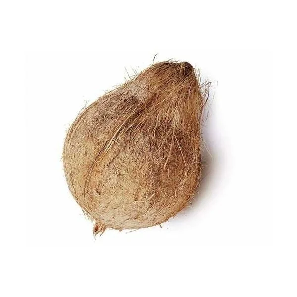 Fresh Coco Nut Big