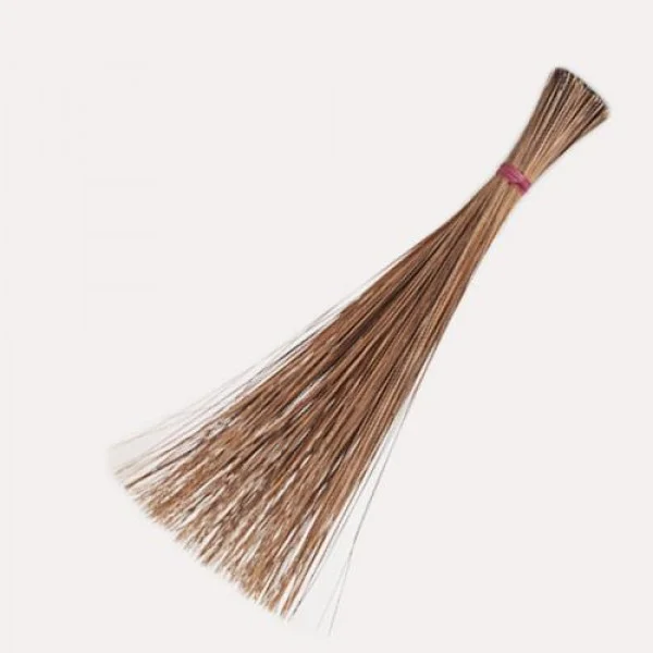 Coco Nut Broom 